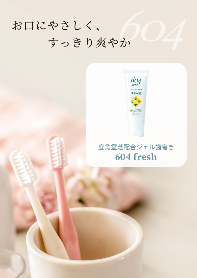604 freshのスライド画像
